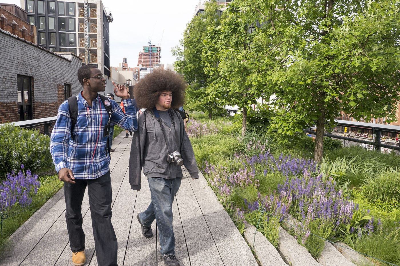 The High Line i New York, en opphøyd gangvei med planter og gamle jernbanespor mellom bygningene.